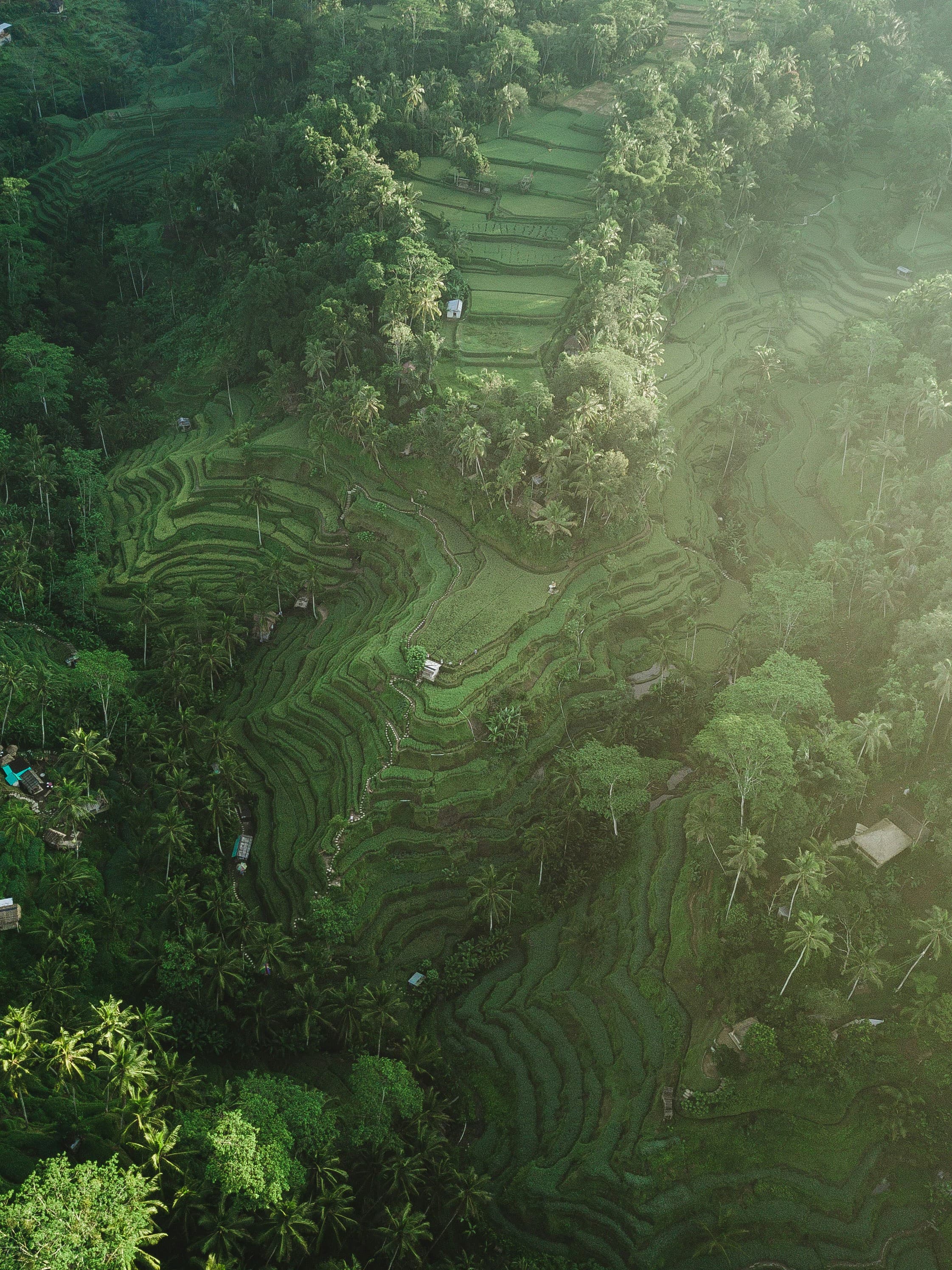 Drone aerial view